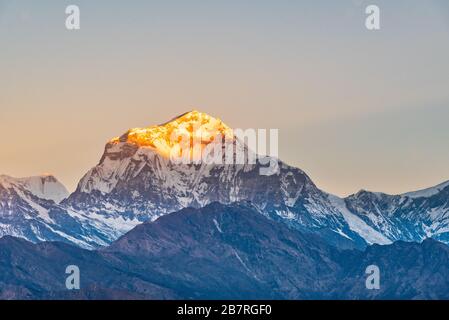 Magnifique lever de soleil embrassant sommet de montagne Dhaulagiri vue de Poonhill Ghorepani Népal Banque D'Images