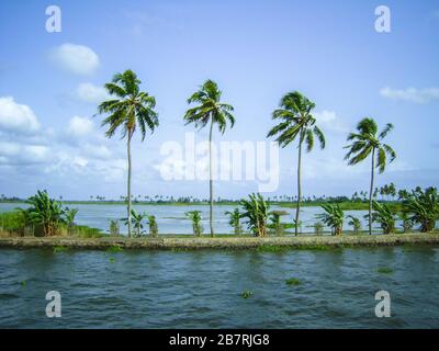 Célèbres eaux de fond d'Alleppey aka alappuzha à Kerala, en Inde Banque D'Images