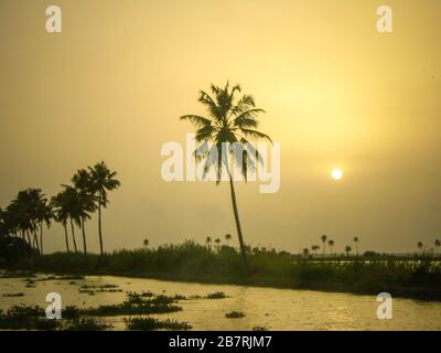 Célèbres eaux de fond d'Alleppey aka alappuzha à Kerala, en Inde Banque D'Images