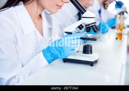 Gros plan photo du travail de l'équipe de laboratoire. Ils sont concentrés sur la découverte d'innovations de l'industrie de la santé Banque D'Images