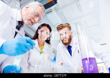 Création d'équipes. Trois chercheurs recueillent des données sur l'échantillon de flore. Ils portent des blouses, des lunettes de sécurité et des gants Banque D'Images