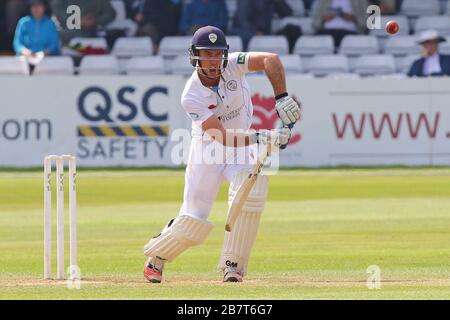 Wayne Madsen dans l'action de lutte pour Derbyshire CCC Banque D'Images