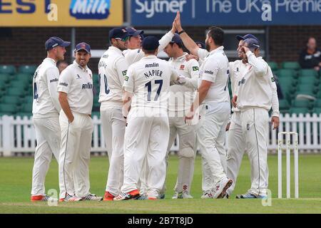 Jesse Ryder d'Essex CCC est félicité par ses coéquipiers après avoir pris le cricket de Dan Redfern pendant la CCC de Leicestershire contre la CCC d'Essex, troisième jour Banque D'Images