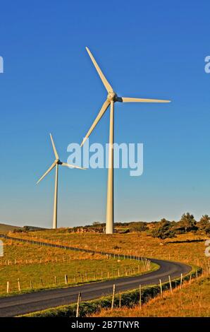 Éoliennes, Cézallier, Puy-de-Dôme, Auvergne-Rhone-Alpes, Massif-Central, ForestFrance Banque D'Images