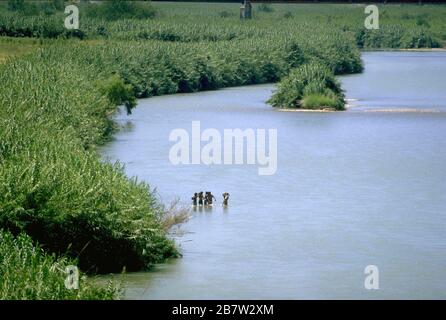 Laredo Texas USA: Les migrants se frayant vers le Rio Grande du côté mexicain prêt à traverser illégalement vers les États-Unis près de Laredo. ©Bob Daemmrich Banque D'Images