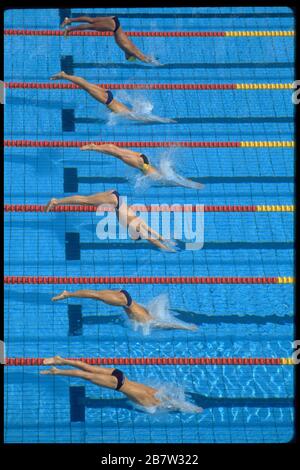 Barcelone, Espagne, 1992: Les nageurs plongent dans la piscine au début de l'événement freestyle masculin pendant les Jeux Olympiques d'été. ©Bob Daemmrich Banque D'Images