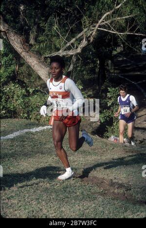 Austin, Texas États-Unis: Les athlètes d'université de sexe féminin en compétition dans le cross-country se rencontrent. ©Bob Daemmrich Banque D'Images