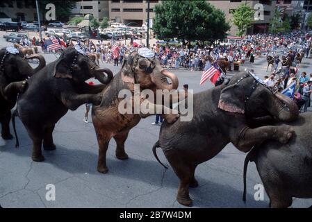 Austin Texas USA: Ringling Brothers Circus les éléphants se présentent dans le défilé de pré-spectacle au centre-ville. ©Bob Daemmrich Banque D'Images