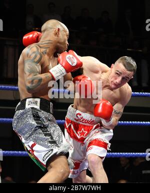 Steve Williams (short rouge/blanc) bat Michael Grant lors d'un concours de boxe Light-Welterweight pour remporter le titre anglais au York Hall, Bethnal Green, p Banque D'Images