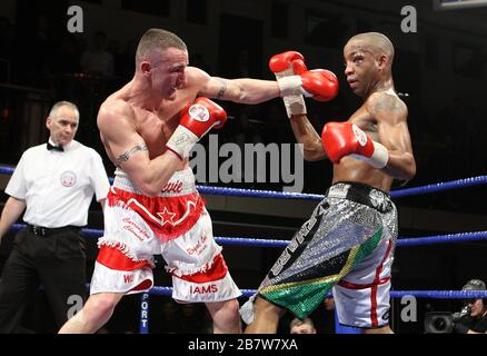 Steve Williams (short rouge/blanc) bat Michael Grant lors d'un concours de boxe Light-Welterweight pour remporter le titre anglais au York Hall, Bethnal Green, p Banque D'Images