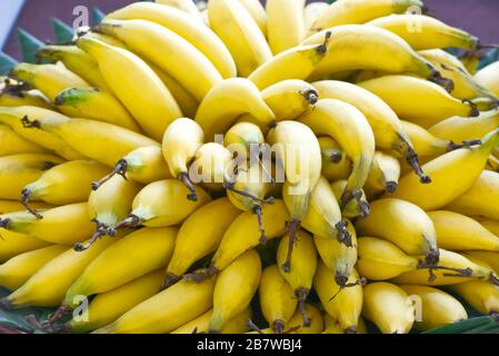 Lebmuernang banane mis sur beaucoup et beau jaune. Banque D'Images