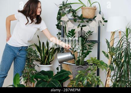 Belle fille à la maison dans des vêtements décontractés arrosant des plantes en pot Banque D'Images