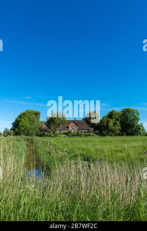 Haubarg, ferme avec un énorme grenier pour le foin, typique du paysage d'Eiderstedt, Frise du Nord, Schleswig-Holstein, Allemagne du Nord, Europe centrale Banque D'Images