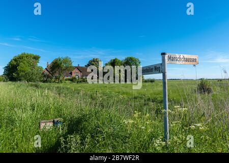 Haubarg, ferme avec un énorme grenier pour le foin, typique du paysage d'Eiderstedt, Frise du Nord, Schleswig-Holstein, Allemagne du Nord, Europe centrale Banque D'Images