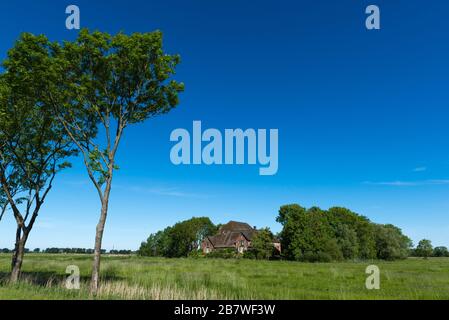 Haubarg, ferme avec un énorme grenier pour le foin, typique du paysage d'Eiderstedt, Frise du Nord, Schleswig-Holstein, Allemagne du Nord, Europe centrale Banque D'Images