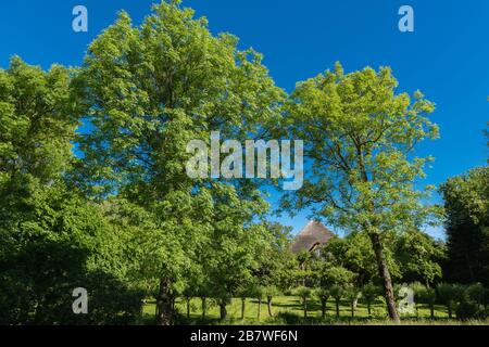 Haubarg, ferme avec un énorme grenier pour le foin, typique du paysage d'Eiderstedt, Frise du Nord, Schleswig-Holstein, Allemagne du Nord, Europe centrale Banque D'Images