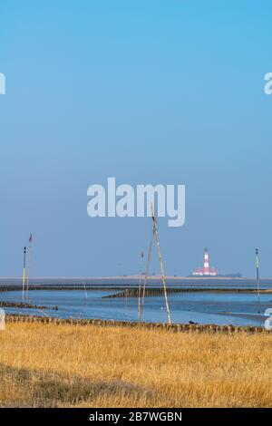 Tümmlauer Koo avec phare Westerheversand, paysage et péninsule Eiderstedt, Frise du Nord, Schleswig-Holstein, Allemagne du Nord, Europe centrale Banque D'Images