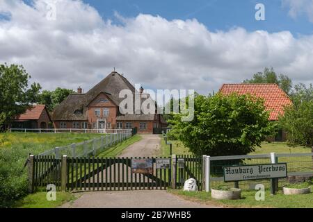 Haubarg, maison de ferme d'anciens propriétaires fonciers riches, aujourd'hui avec maisons de vacances, péninsule d'Eiderstedt, Frise du Nord, Schleswig-Holstein, Allemagne, Europe Banque D'Images