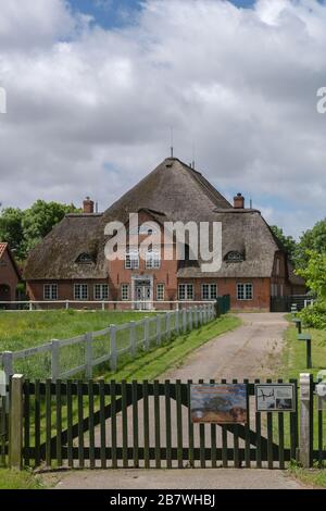 Haubarg, maison de ferme d'anciens propriétaires fonciers riches, aujourd'hui avec maisons de vacances, péninsule d'Eiderstedt, Frise du Nord, Schleswig-Holstein, Allemagne, Europe Banque D'Images