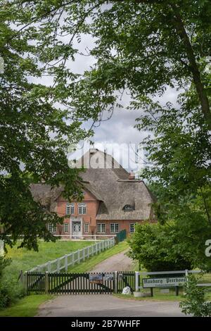 Haubarg, maison de ferme d'anciens propriétaires fonciers riches, aujourd'hui avec maisons de vacances, péninsule d'Eiderstedt, Frise du Nord, Schleswig-Holstein, Allemagne, Europe Banque D'Images