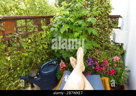 Balcon de la ville en été : pieds de femme dans des tongs sur un repose-pied et beaucoup de plantes et de fleurs dans des pots. Banque D'Images