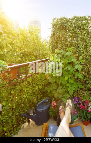 Balcon de la ville en été : pieds de femme dans des tongs sur un repose-pied et beaucoup de plantes et de fleurs dans des pots. Banque D'Images