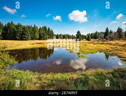 Petit lac dans un bog, bog élevé sur la crête de l'Erzgebirge, Erzgebirge, Dlouha Louka, République tchèque Banque D'Images