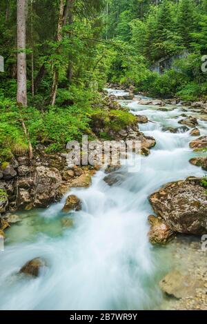 Ruisseau de montagne Ramsauer Ache dans la forêt enchantée, Parc National de Berchtesgaden, Ramsau, Berchtesgadener Land, Haute-Bavière, Bavière, Allemagne Banque D'Images