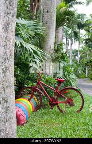 Vélo rouge dans le jardin tropical garé contre des pneus multicolores Banque D'Images