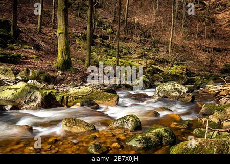 15.03.2020, la chute d'eau de l'Ilse à Ilsenburg dans un stuc forestier dans le nord de Harz. Photo avec exposition prolongée de l'eau qui coule avec le filtre ND. L'Ilse mesure 42,9 km de long, au sud-est et dans l'orographique affluent droit de l'Oker en Saxe-Anhalt et en Basse-Saxe. Il coule dans les contreforts Harz et Harz du nord. | utilisation dans le monde entier Banque D'Images