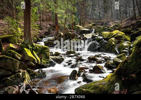 15.03.2020, la chute d'eau de l'Ilse à Ilsenburg dans un stuc forestier dans le nord de Harz. Photo avec exposition prolongée de l'eau qui coule avec le filtre ND. L'Ilse mesure 42,9 km de long, au sud-est et dans l'orographique affluent droit de l'Oker en Saxe-Anhalt et en Basse-Saxe. Il coule dans les contreforts Harz et Harz du nord. | utilisation dans le monde entier Banque D'Images