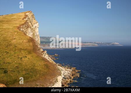 En regardant vers l'est depuis Worbarrow Tout, le long de Gold Down et Gad Cliff, île de Purbeck, Dorset, Angleterre, Royaume-Uni: St Aldhelm's (St Alban's) tête dans la distance Banque D'Images