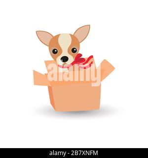 Joli chien Chihuahua avec un noeud rouge dans une boîte Illustration de Vecteur