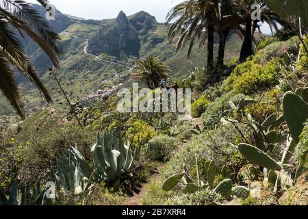 Côté sud de la Gomera près d'Imada Banque D'Images