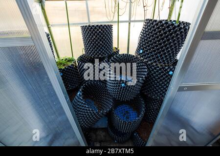 Vue rapprochée à l'intérieur de la serre le jour ensoleillé du printemps. Pots à air en plastique vides pour le jardinage de légumes prêts à être utilisés. Banque D'Images
