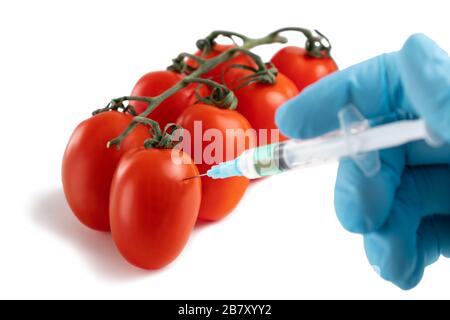 Produits alimentaires et chimiques OGM dans le concept des légumes. La main dans un gant fait une injection avec une seringue avec une solution de tomate mûre. Banque D'Images