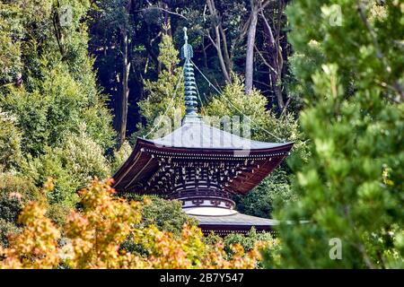 Jardin japonais avec pagode à Kyoto Banque D'Images