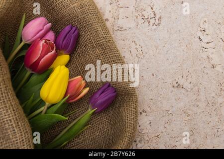 Bouquet de tulipes multicolores en papier d'emballage en tissu naturel. Fleurs de printemps sur le fond de liège . Vue de dessus avec place pour le texte. Espace de copie. Banque D'Images