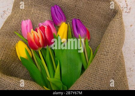 Bouquet de tulipes multicolores en papier d'emballage en tissu naturel. Fleurs de printemps sur le fond de liège . Vue de dessus. Banque D'Images