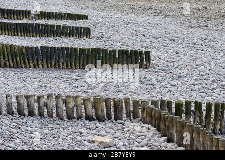 Groynes comprenant des poteaux en bois droits à la plage de Minehead, Somerset, Royaume-Uni Banque D'Images