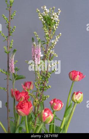 Détails de l'arrangement de fleurs de printemps avec de belles tulipes et brindilles avec bourgeons verts et fleurs blanches sur un fond gris. Mise au point sélective Banque D'Images