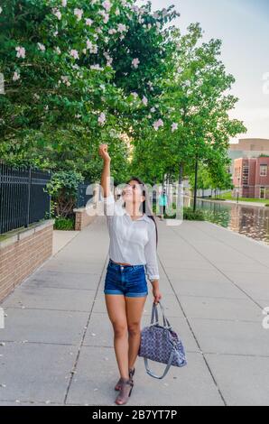 Femme heureux de ramasser des fleurs de l'arbre dans le centre-ville de l'Indiana États-Unis Banque D'Images