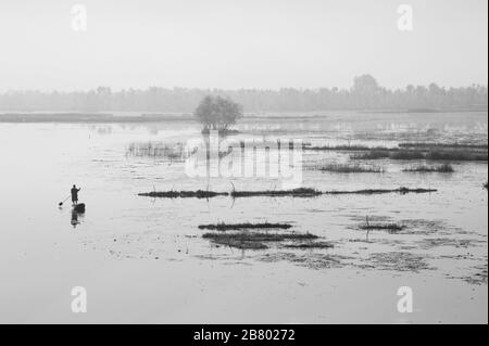 Bateau à pédales Kashmiri MAN, lac Nagin, lac Dal, Srinagar, Cachemire, Jammu-et-Cachemire, Inde, Asie Banque D'Images