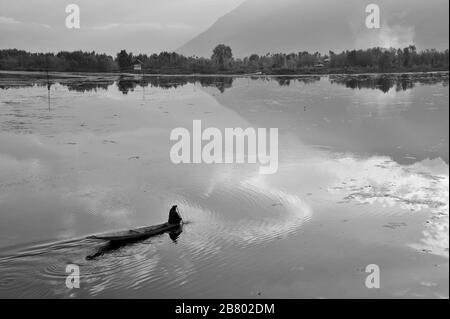 Bateau à pédales Kashmiri MAN, lac Nagin, lac Dal, Srinagar, Cachemire, Jammu-et-Cachemire, Inde, Asie Banque D'Images