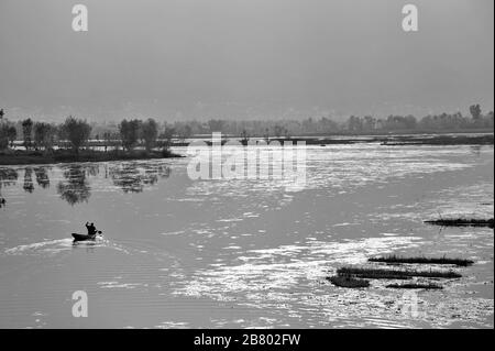 Bateau à pédales Kashmiri MAN, lac Nagin, lac Dal, Srinagar, Cachemire, Jammu-et-Cachemire, Inde, Asie Banque D'Images