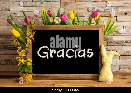 Fleurs de tulipes, lapin, mur de briques, Blackboard, texte Gracias signifie Merci Banque D'Images