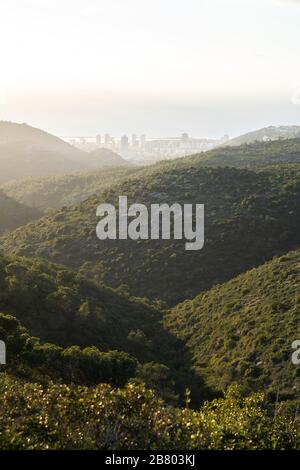 Collines verdoyantes du Carmel Mountain Park au lever du soleil avec la ville de Tirat Carmel, dans le quartier d'Haïfa, en arrière-plan Banque D'Images