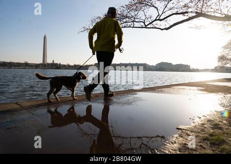 Washington, DC, États-Unis. 18 mars 2020. Un résident marche un chien dans le bassin de Tidal à Washington, DC, aux États-Unis, le 18 mars 2020. Crédit: Liu Jie/Xinhua/Alay Live News Banque D'Images