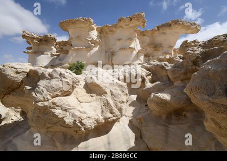 Wadi Hawarim, Désert du Negev, Israël Banque D'Images