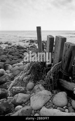 Castle Haven, Reeth Bay, Isle of Wight, Angleterre, Royaume-Uni : regarder sur la Manche une journée calme, avec un vieux brise-lames au premier plan. Photographie de film noir et blanc Banque D'Images